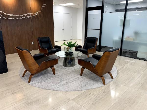 Black Ice Financials