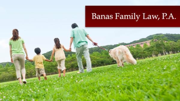 Banas Family Law