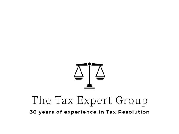 The Tax Experts Group