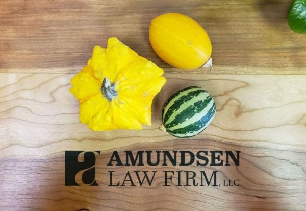 Amundsen Law Firm