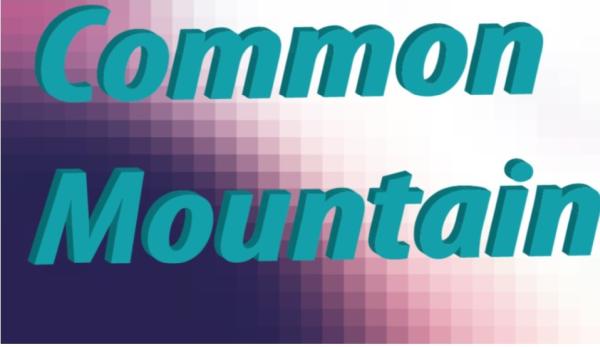 Common Mountain Consulting