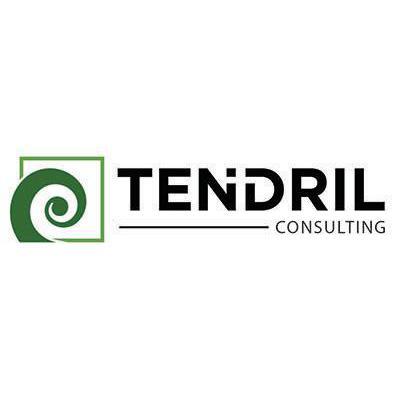 Tendril Consulting