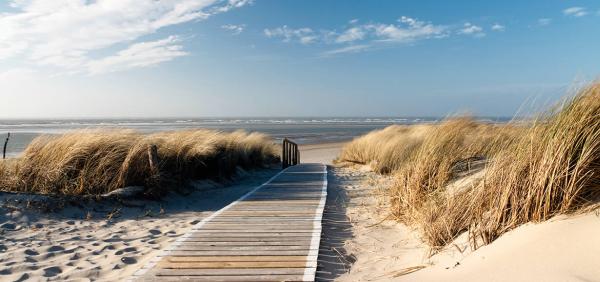 Sage Beacon Wealth Management