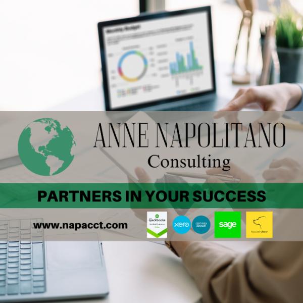 Anne Napolitano Consulting