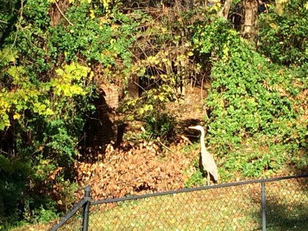 10 Best Real Estate Lawyers Near Me LegalDirectorate