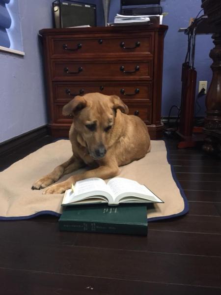 Wallis Law Group (Kathy E Wallis