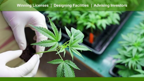 Grow Green Cannabis Consulting