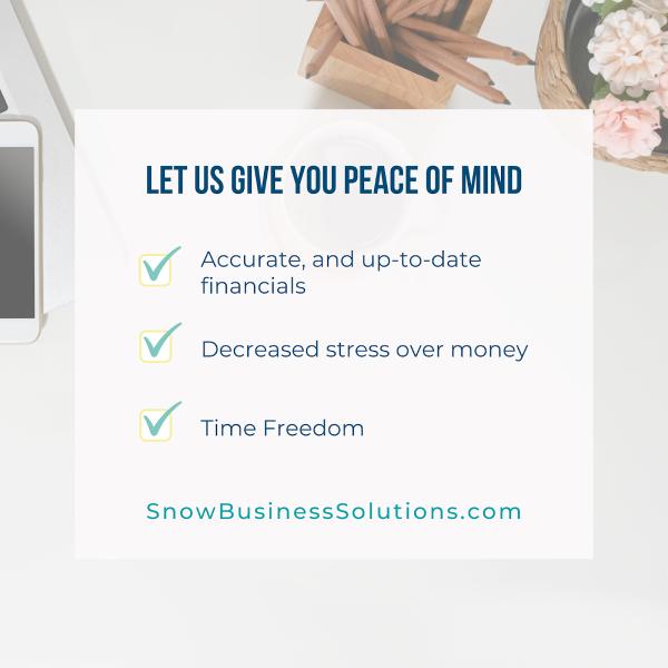 Snow Business Solutions