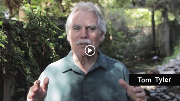 Blue Beyond Consulting