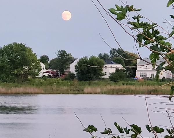 RL Wealth Management Group