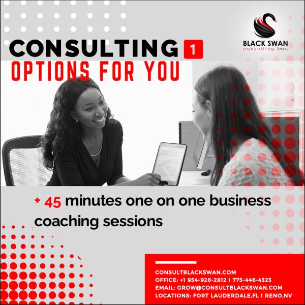 Black Swan Consulting