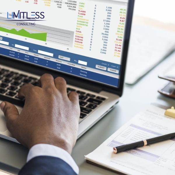 Limitless Consulting