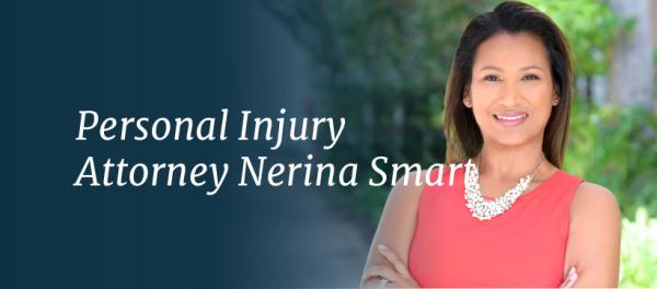 The Law Offices of Nerina Smart, PA