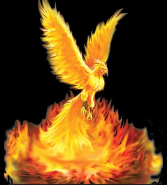 Fire Phoenix