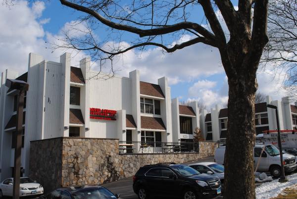 David Lerner Associates