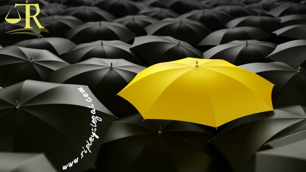 Ripley's Legal Solutions