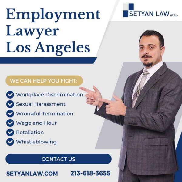 Setyan Law Employment Lawyer