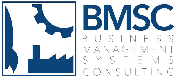 Business Management Systems Consulting
