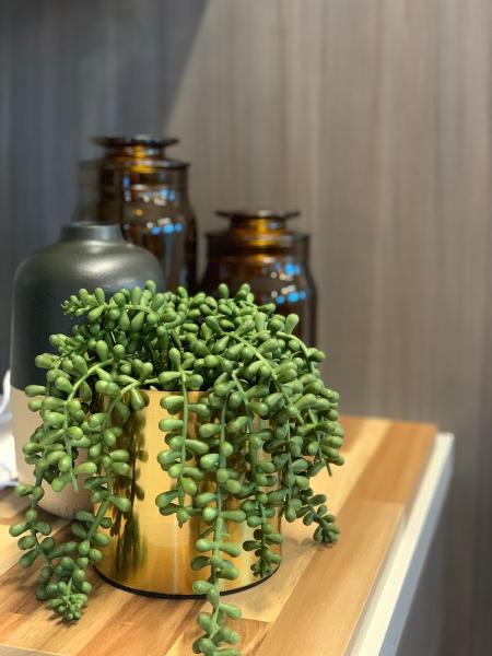 Sullivan Law Offices - Alamo Title