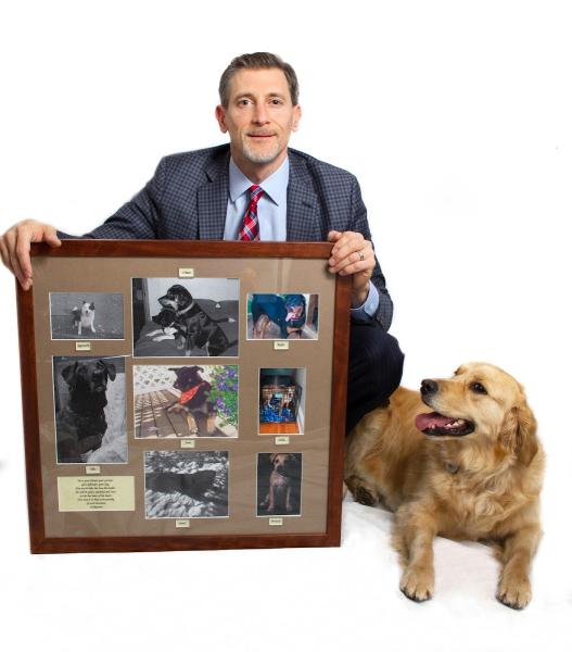 Boston Dog Lawyers