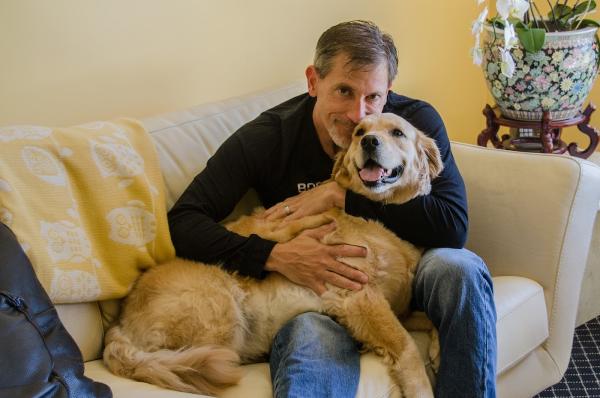 Boston Dog Lawyers