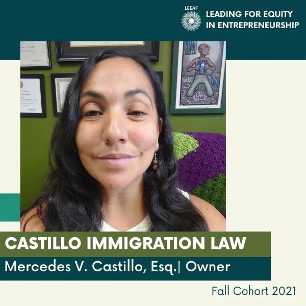 Castillo Immigration Law