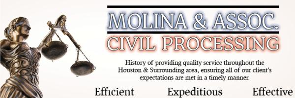 Molina Civil Process