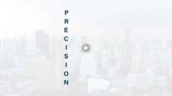 Precision Accounting Intl