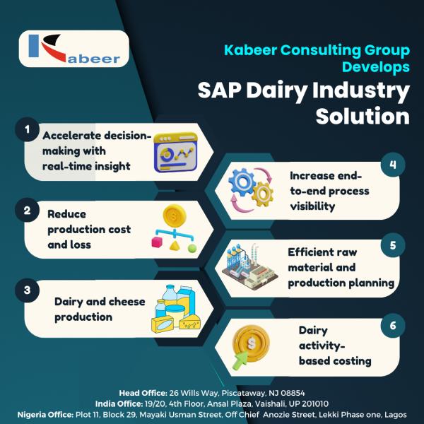 Kabeer Consulting Group