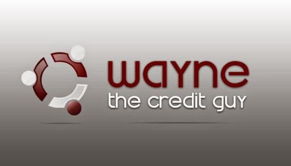 Wayne the Credit Guy