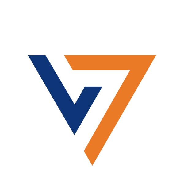 Viteri Services