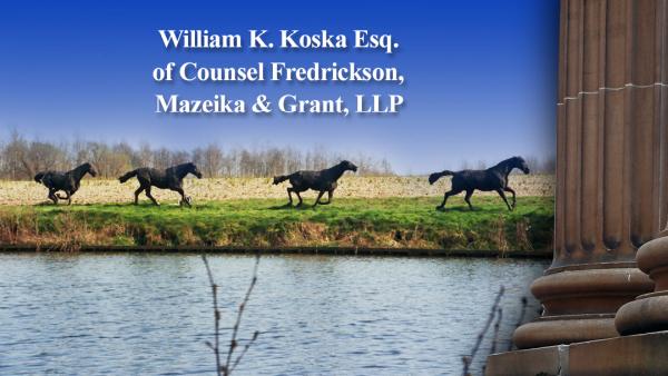 Law Offices of William K. Koska and Associates