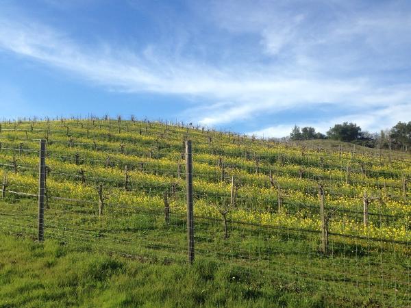 Law Office of James A. Zakasky