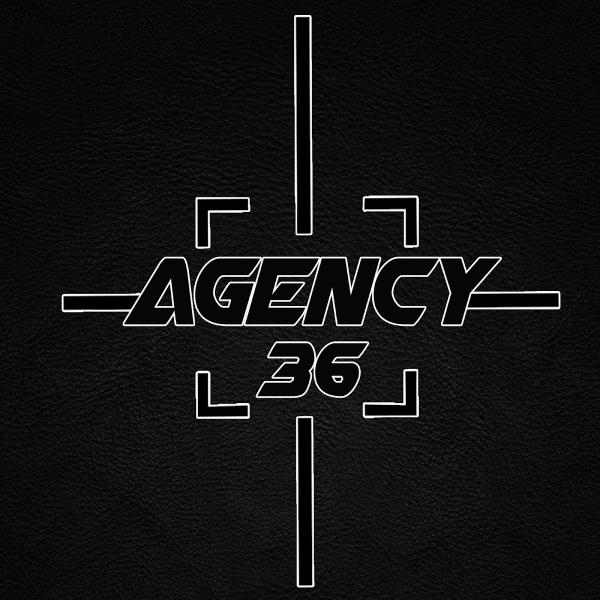Agency 36 Private Investigator