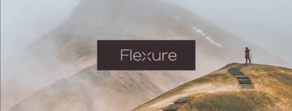 Flexure