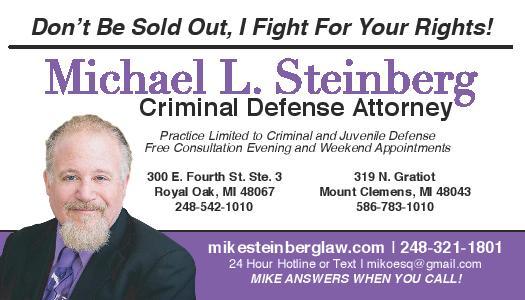 Law Offices of Michael L Steinberg