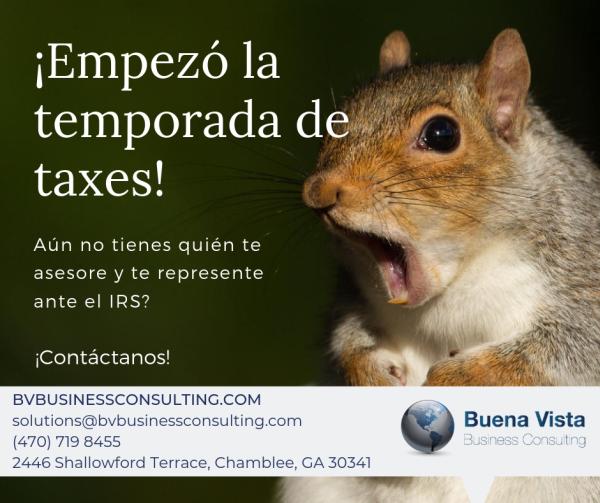 Buena Vista Business Consulting