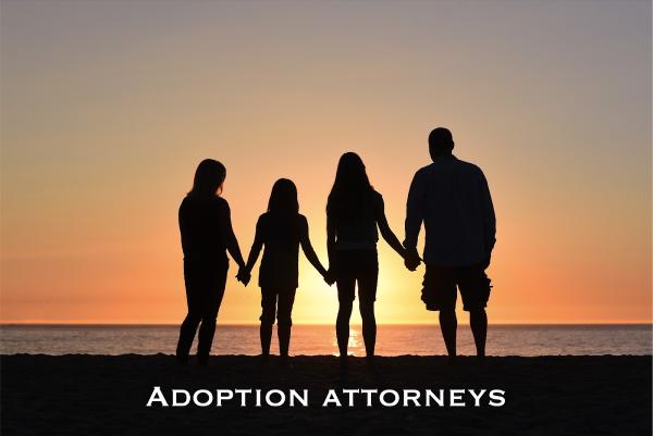 Adoption Law Group
