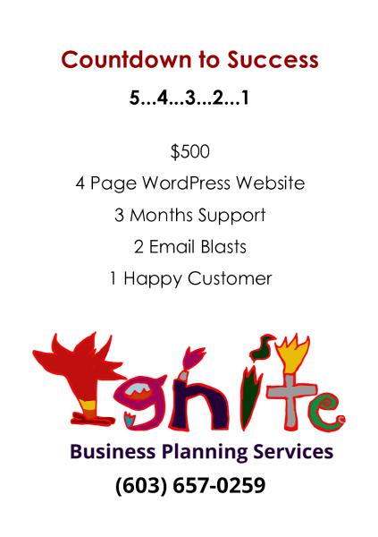 Stonehouse Consulting Group Dba:ignite Business Planning Services