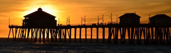 Anthony Curiale and Associates