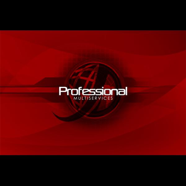 The Professional Multiservices