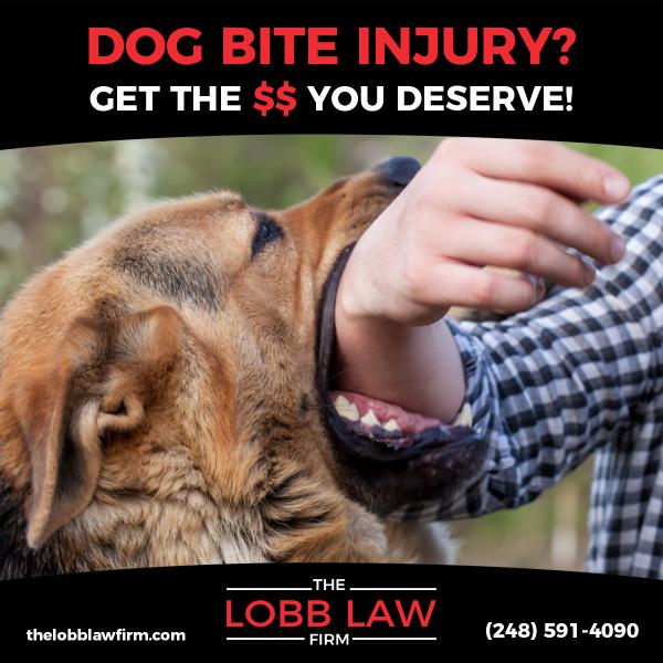 The Lobb Law Firm