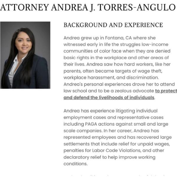 Torres Angulo Law Group