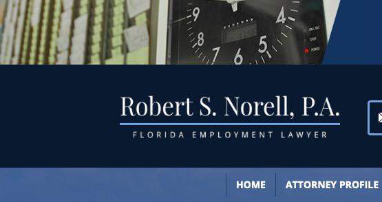 Robert S. Norell