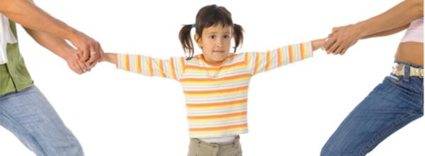 High Conflict Diversion Program