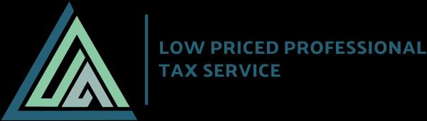 Low Priced Professional Tax Service