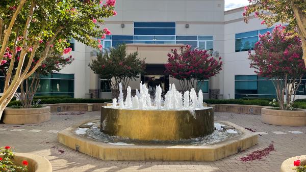 The Bickerton Law Firm