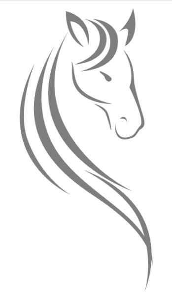 Cavallo Business Services