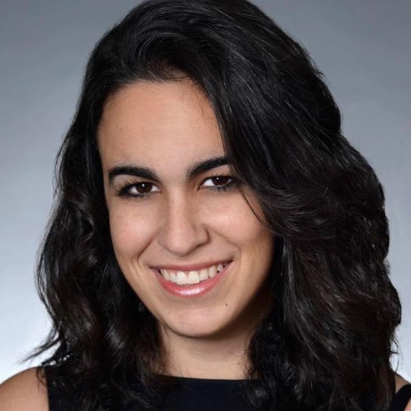 The Immigration Professor