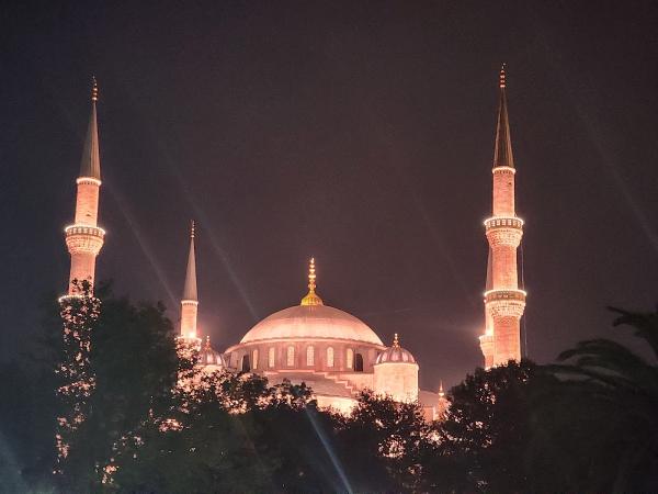 Najar Investigations